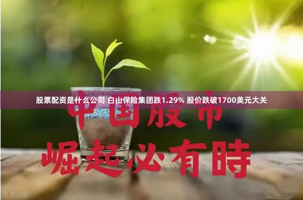 股票配资是什么公司 白山保险集团跌1.29% 股价跌破1700美元大关