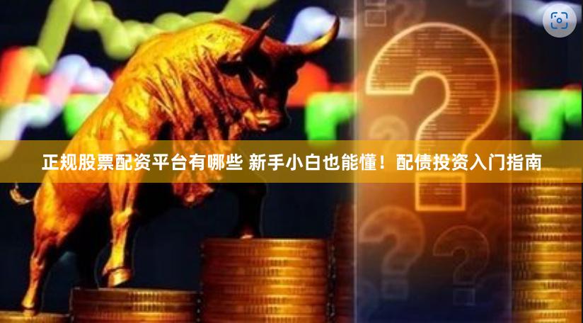 正规股票配资平台有哪些 新手小白也能懂！配债投资入门指南